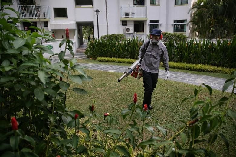 Penurunan jumlah klaster demam berdarah, tetapi kasus mingguan tetap tinggi: NEA