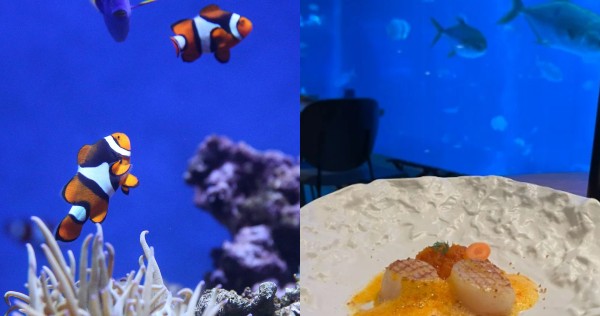 Berburu makanan di taman hiburan Singapura: S.E.A. Aquarium, Berita Gaya Hidup