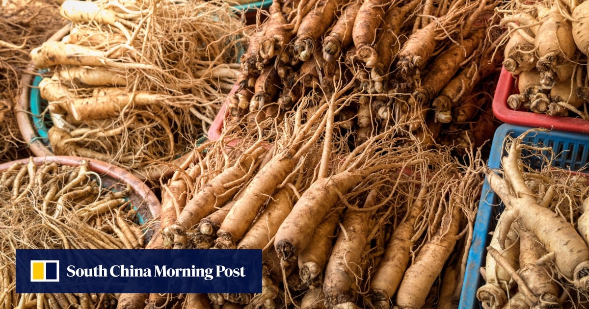 Ginseng Korea mendapat leg-up terhadap perubahan iklim, dan persaingan di pasar suplemen kesehatan