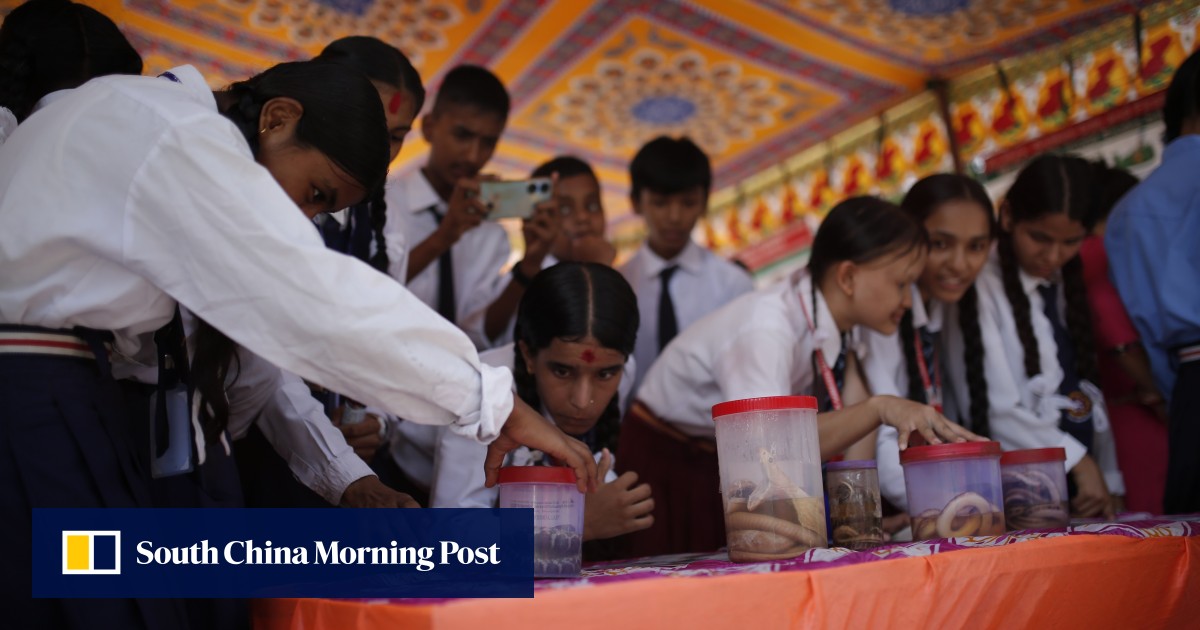 ‘Penyakit terabaikan’: Nepal bersiap untuk lebih banyak kasus gigitan ular saat musim panas mendekat