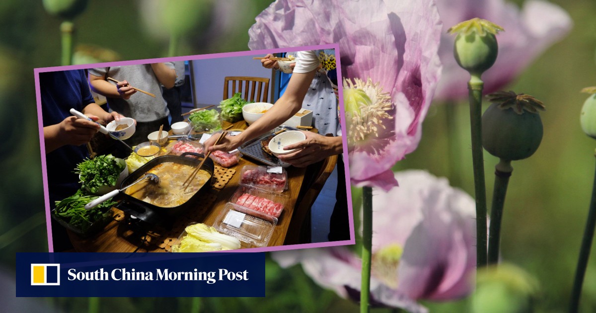 Wanita di China dijatuhi hukuman penjara 6 bulan karena menanam opium poppy di atap, mengatakan itu adalah rempah-rempah untuk memasak hotpot